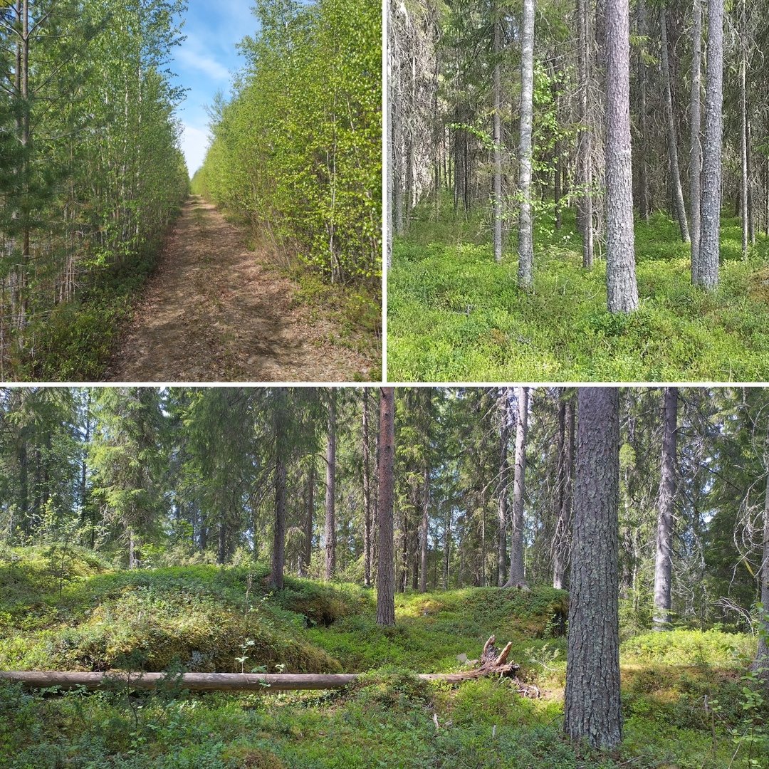 Ylikylä